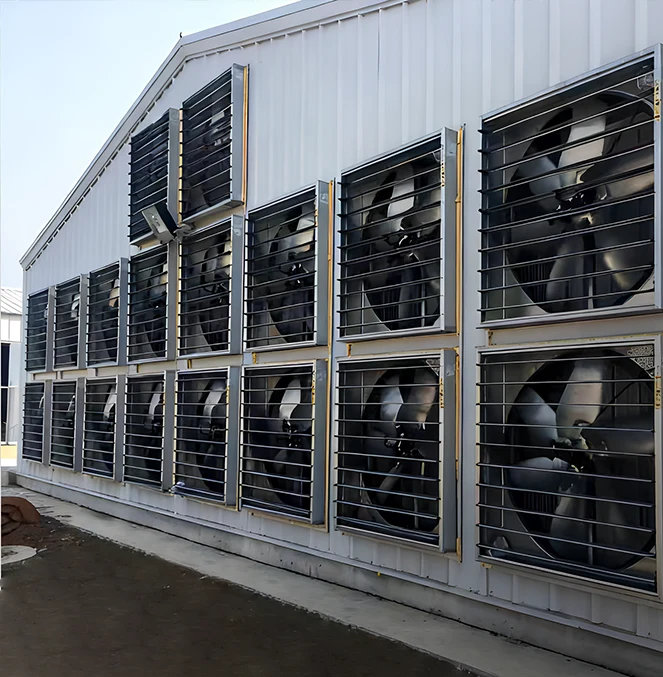 Poultry Ventilation System